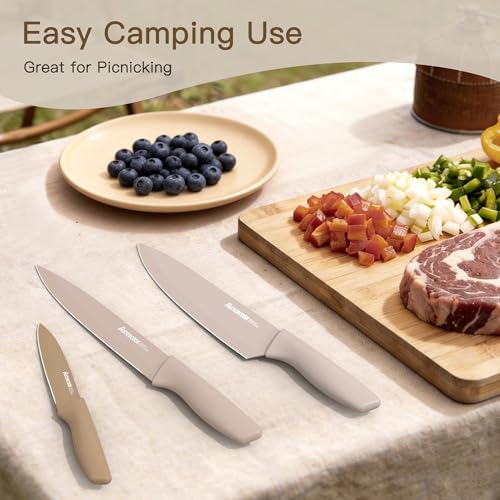 Astercook kitchen shears and storage guards