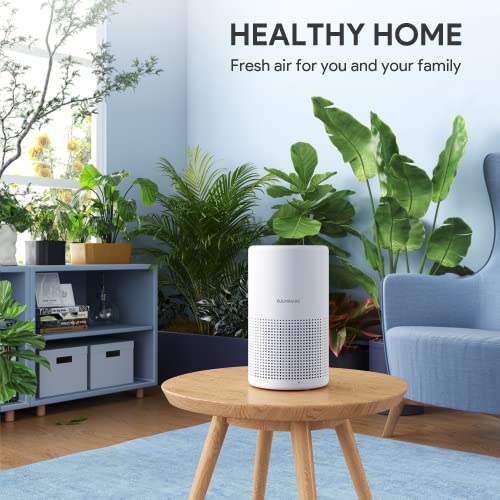 Air purifier 360-degree air circulation diagram