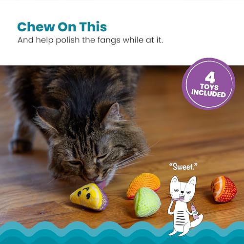 Close up of Catstages fruit wedge toy texture