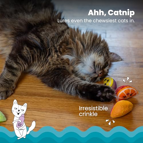 Cat stages fruit chew toy for cats