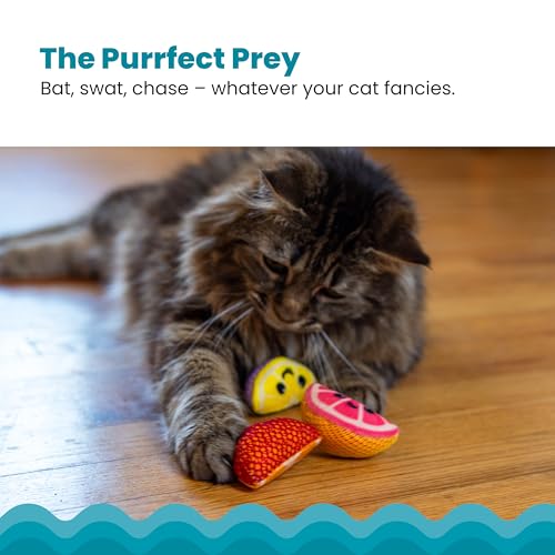 Assorted dental fruit wedges for cats