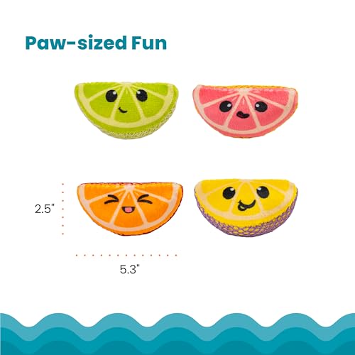 Cat playing with Catstages fruit toy