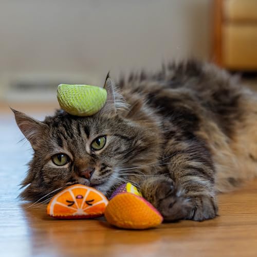 Textured mesh surface of Catstages chew toy
