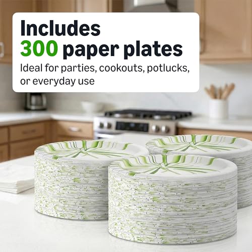 Basics white paper plate front view