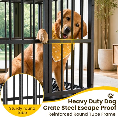 Docagt 48 Inch dog cage double door view