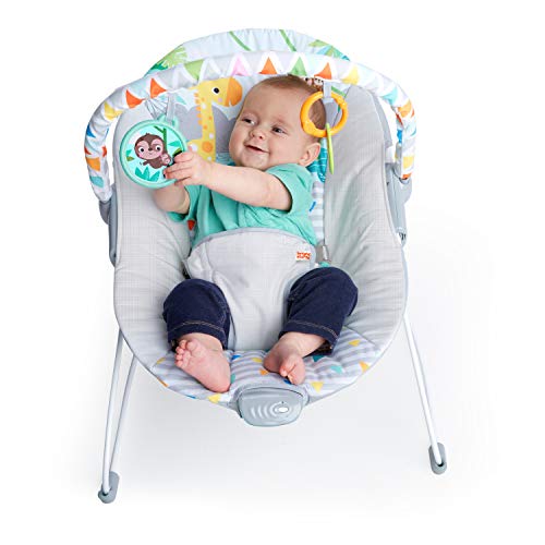 Full assembly of Safari Fun infant seat
