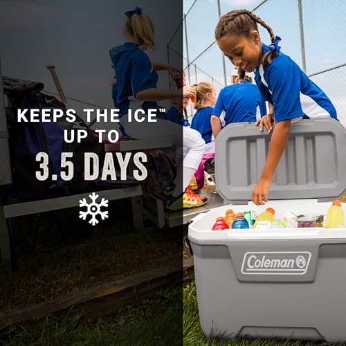 Coleman portable cooler swing-up handles