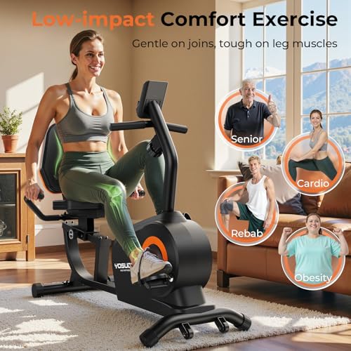 YOSUDA Recumbent Bike with adjustable seat
