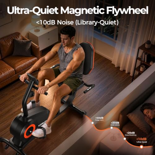 Quiet YOSUDA Recumbent Bike for home