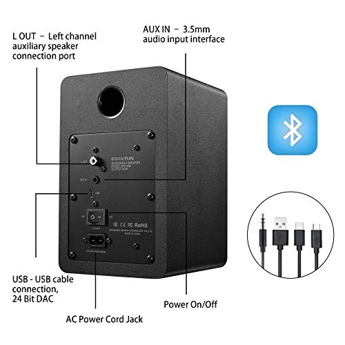 Back panel connection ports on Sanyun SW208