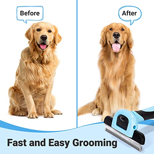 Detachable comb head of MIU COLOR grooming tool