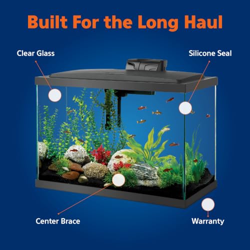 Clear glass aquarium with sleek black trim