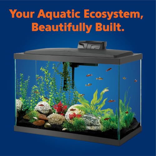 Side profile of the 20 gallon tank
