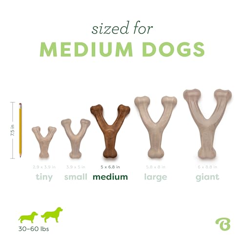Benebone Wishbone packaging showing flavor and size