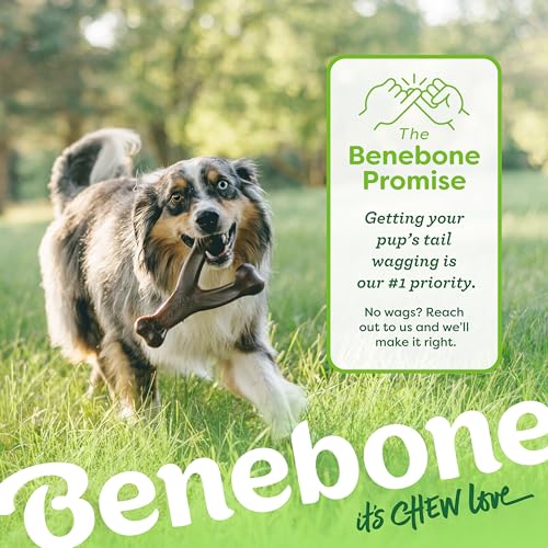Benebone Wishbone logo and branding details