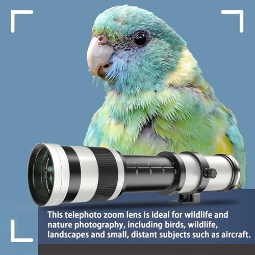 White telephoto zoom lens mounted on Canon DSLR