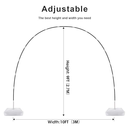 Contents of the Chamvis balloon decorating kit