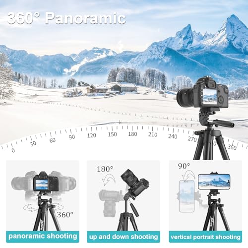 Close up of 3-way pan head on Jishane tripod