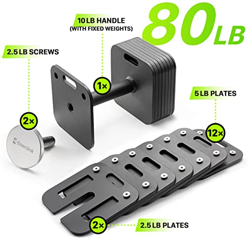 Eisenlink 80lb adjustable dumbbells on gym floor