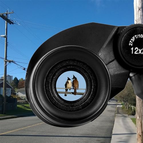 Binoculars held in one hand for scale