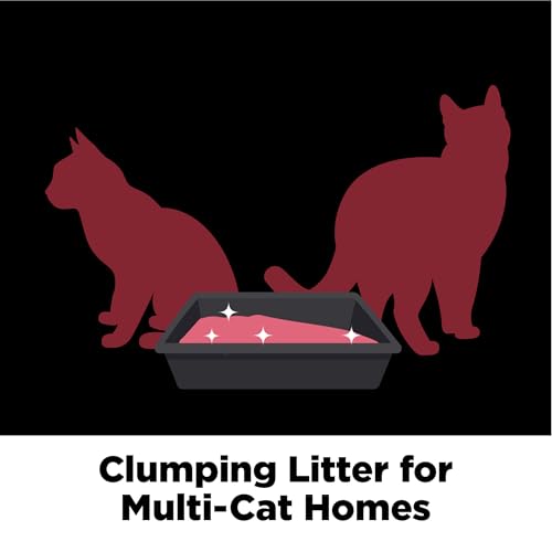 Back of Arm & Hammer cat litter bag