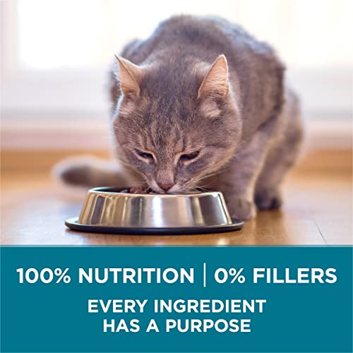 Purina ONE Tender Selects Salmon packaging detail