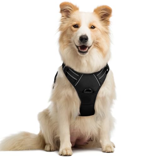 rabbitgoo dog harness front view