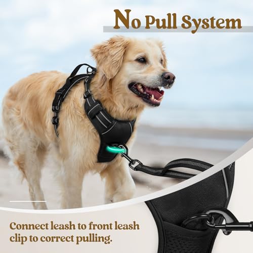 reflective strips on black dog harness