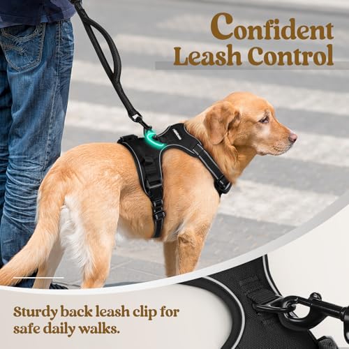 rabbitgoo harness chest leash ring