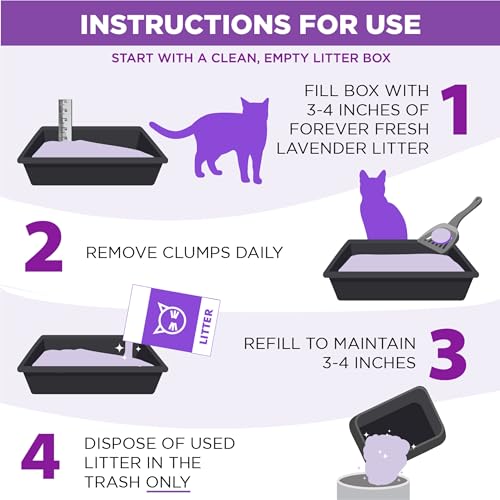 Clean cat litter box filled with Arm & Hammer litter