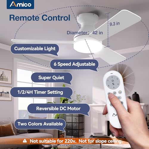 Ceiling fan with white blade side