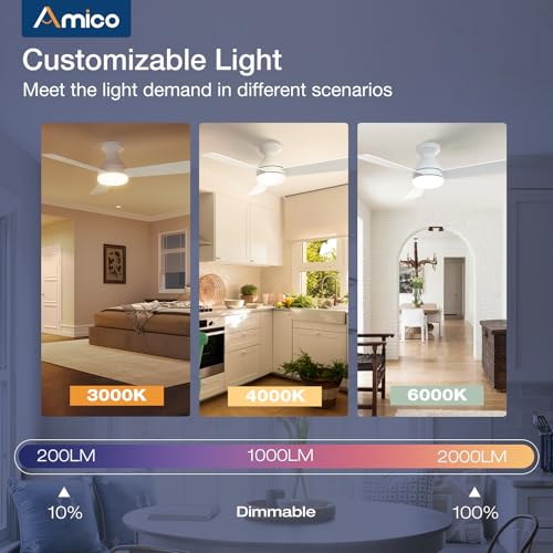 Bedroom interior with Amico fan