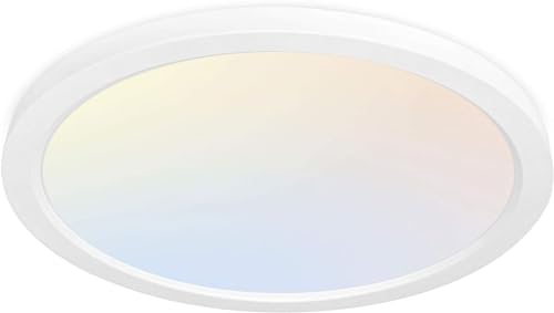 Hykolity 12 Inch Round Flat Panel Light front view