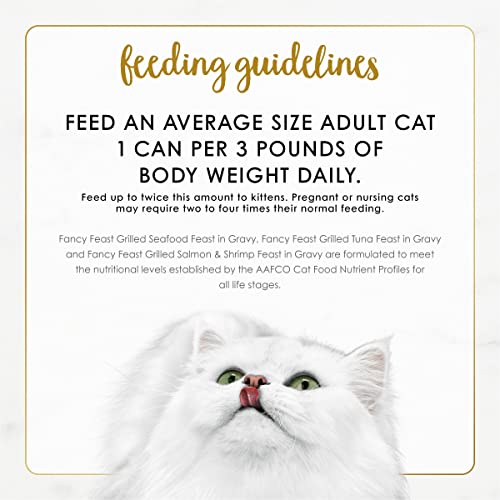 Premium canned cat food portions