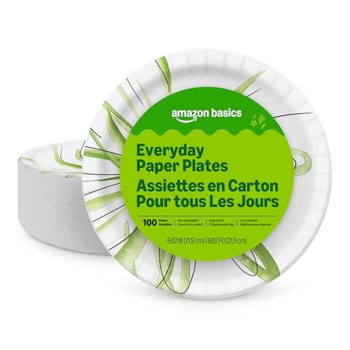 Basics Everyday disposable paper plates 100 count pack