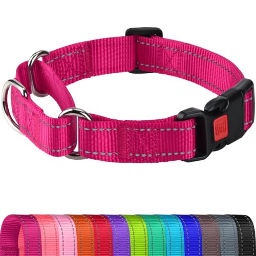 Joytale Martingale Collar Hotpink medium side view