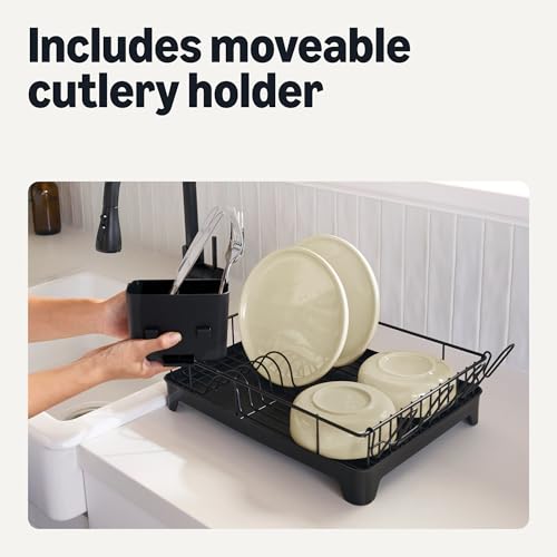 Basics dish rack holding plates and glasses