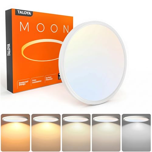 TALOYA 12 Inch Flush Mount Ceiling Light front view