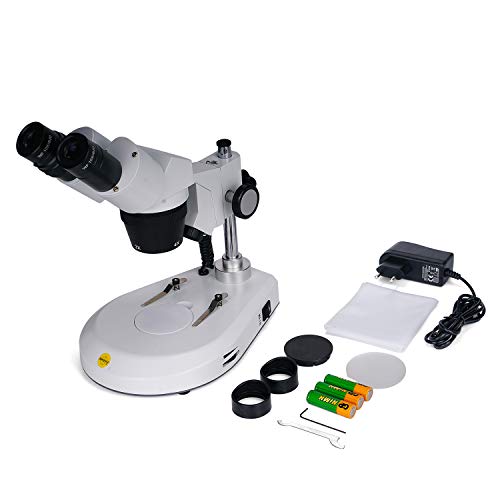 Microscope showing 20X 40X 80X magnification