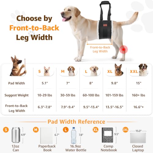 Rear leg support harness for large dogs