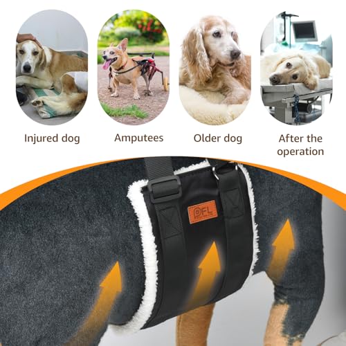 Adjustable straps for dog hip lift