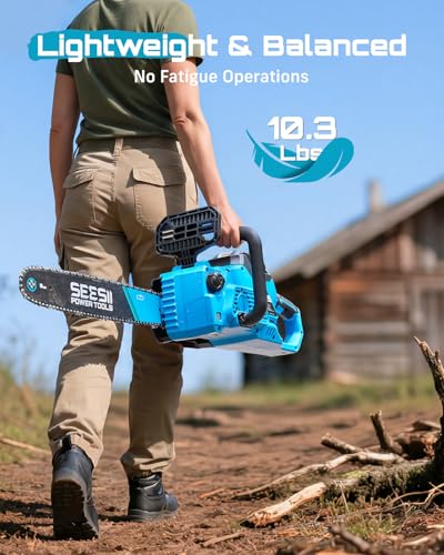 Full Seesii M16 ACE cordless chainsaw kit contents