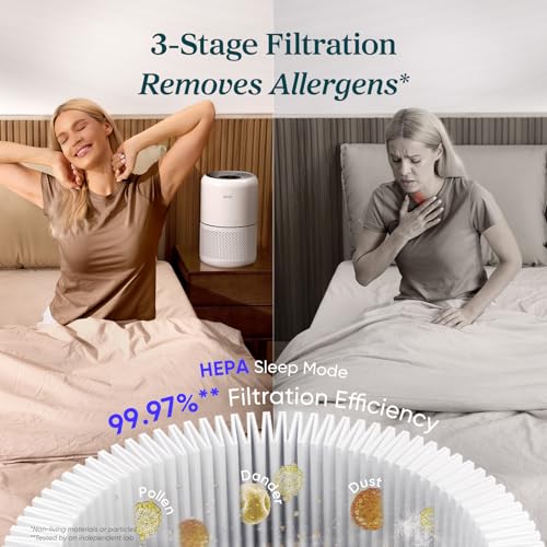 Internal HEPA filter of Levoit Core 300-P