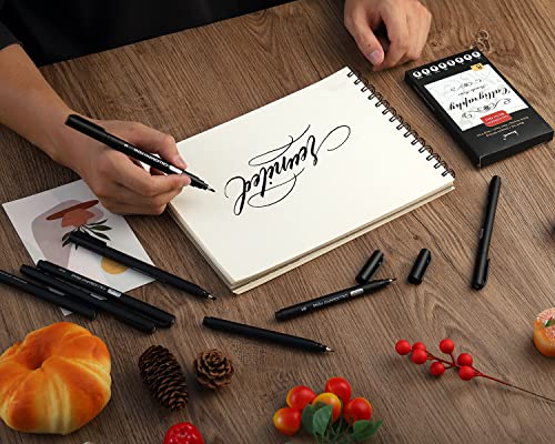 Non-toxic calligraphy pens for drawing