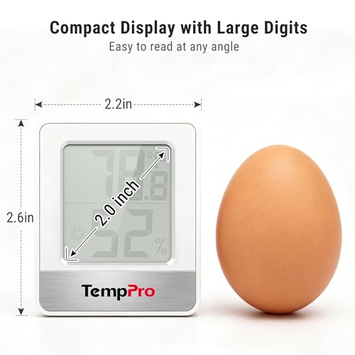 Thermometer with magnetic back mount