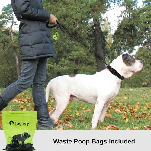 Padded foam handle of Taglory dog leash