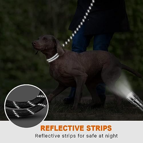 Taglory leash attached to dog harness