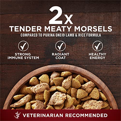Purina ONE dog food packaging graphics