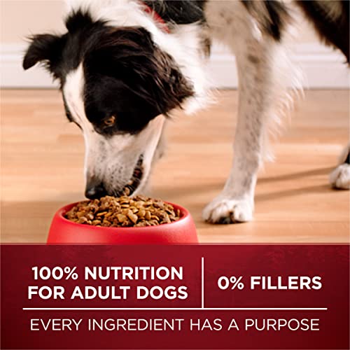 Purina ONE True Instinct bag branding detail