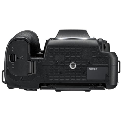 Nikon D7500 sensor view